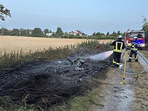 Fl&auml;chenbrand am Abend