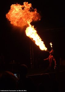 Der Circus kommt