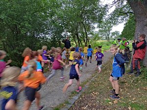 Crosslauf im Badew&auml;ldchen