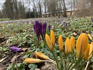 Ein Besuch in der Rosenstadt Bad Langensalza lohnt sich