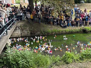 Menschen und Enten am und im Wasser
