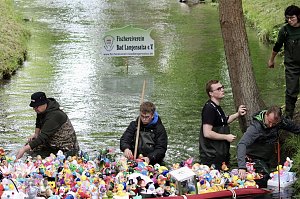 Entenrennen 2025 in Bad Langensalza 