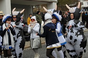 Impressionen vom Faschingsumzug in Bad Langensalza. Bunt angezogene Menschen und geschm&uuml;ckte Wagen