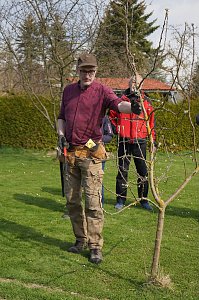 Mann schneidet Baum mit einer Zange