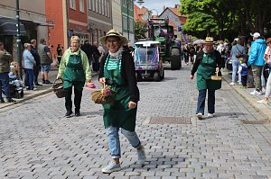 Feiernde Menschen bei einem Festumzug