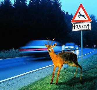 Vorsicht (Foto: ADAC)