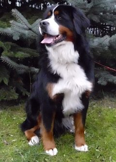 Felix (Foto: C. Knust)