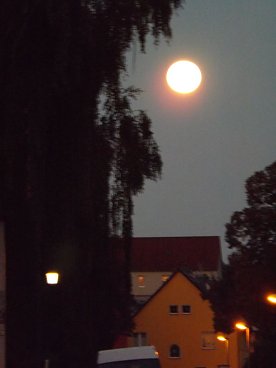 Bild: Vollmond &uuml;ber dem Forstbergviertel.