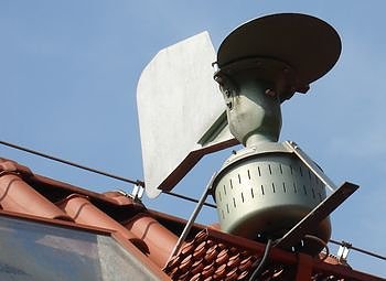 Pollenfalle (Foto: nnz)