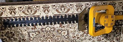 Heckenschere (Foto: )