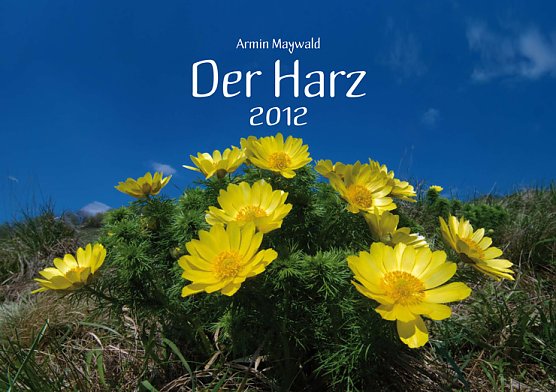 Bilderkalender (Foto: Armin Maywald)