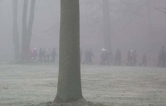 Auf dem Weg nach Bremen (Foto: Karl-Heinz Herrmann)