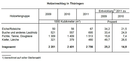 Grafik (Foto: TLS) Grafik (Foto: TLS)