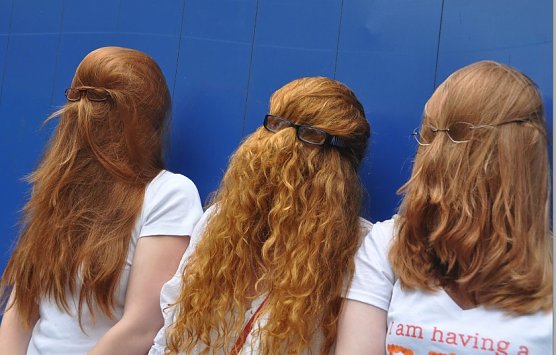 Rotehaaretreff 2012 (Foto: nnz-City Scout Sven G&auml;mkow)