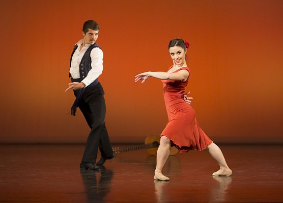 Mehrere Einf&uuml;hrungen (Foto: Tilmann Graner)