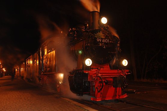 Zum Weihnachtsmarkt nach Wernigerode (Foto: privat) Zum Weihnachtsmarkt nach Wernigerode (Foto: privat)