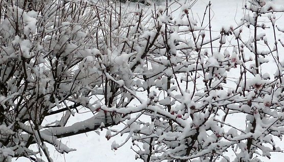 Endlich Winter (Foto: nnz)
