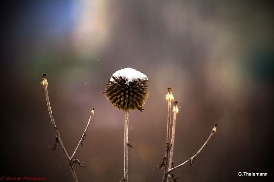 Wetterbild (Foto: Gernot Thelemann) Wetterbild (Foto: Gernot Thelemann)