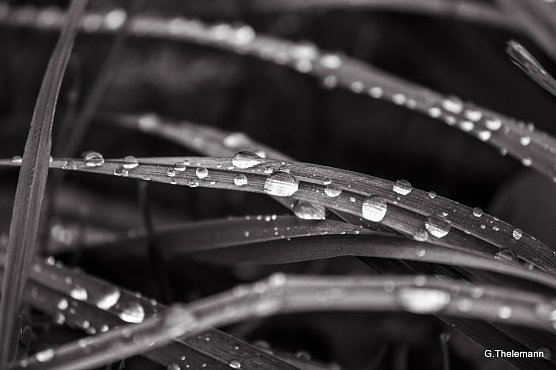 Wetterbild (Foto: Gernot Thelemann)