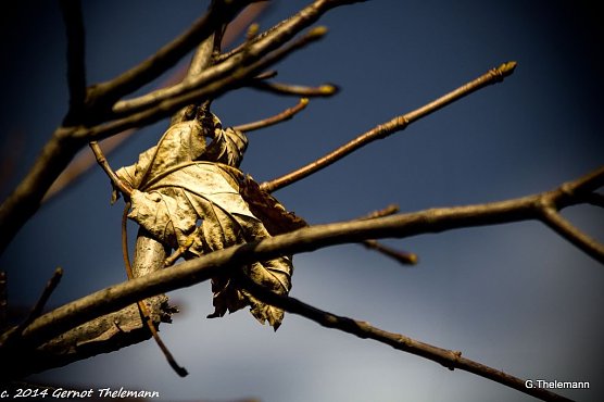 Wetter-Bild (Foto: Gernot Thelemann)