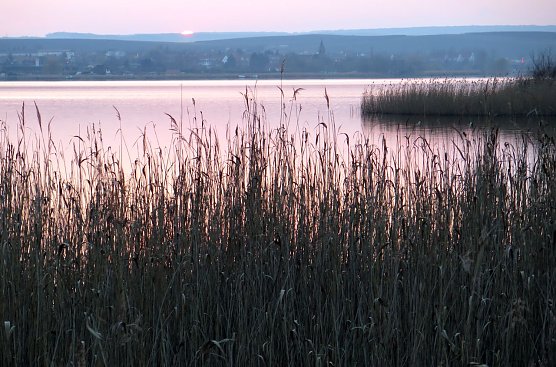 Sonnenuntergang am S&uuml;&szlig;en See bei Seeburg (Foto: nnz)