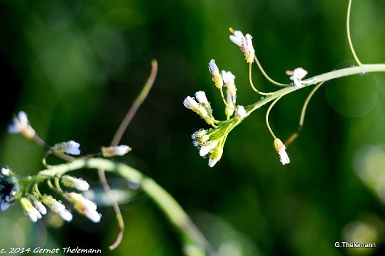 Wetterbild (Foto: Gernot Thelemann) Wetterbild (Foto: Gernot Thelemann)