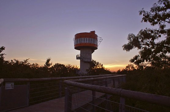 Der Lebensraum Baumkronen ist spannend � besonders bei Tagesanbruch, wenn das Leben im Hainich erwacht, und zum Sonnenuntergang, wenn es im Wald stiller wird und die nachtaktiven Tiere zu beobachten sind. (Foto: Foto: reko)