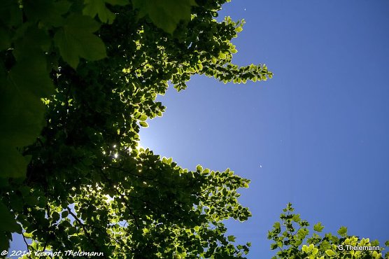 Wetterbild (Foto: Gernot Thelemann) Wetterbild (Foto: Gernot Thelemann)