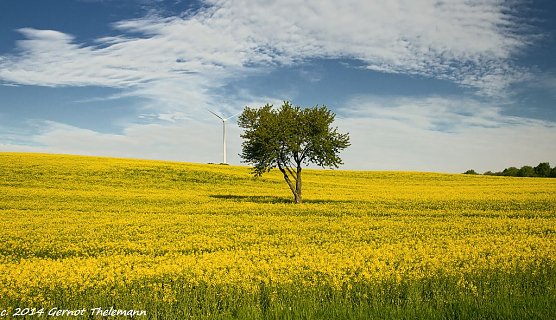 Wetterbild (Foto: Gernot Thelemann)
