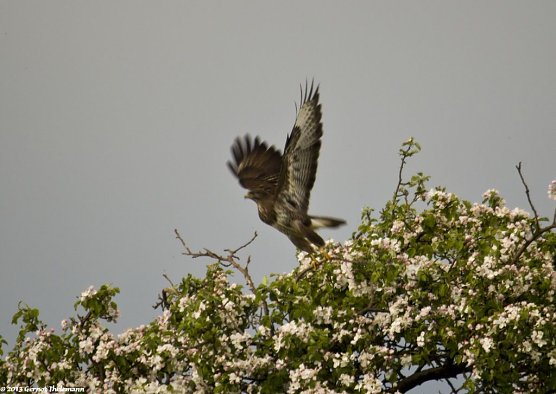 Wetter-Bild (Foto: Gernot Thelemann)