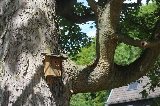 Wetterbild (Foto: Angelo Glashagel)