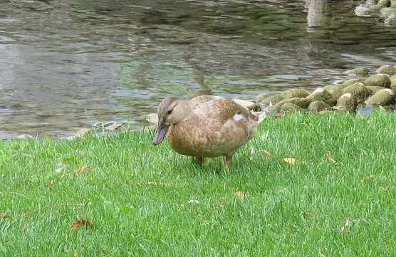 Wetter-Bild (Foto: nnz)