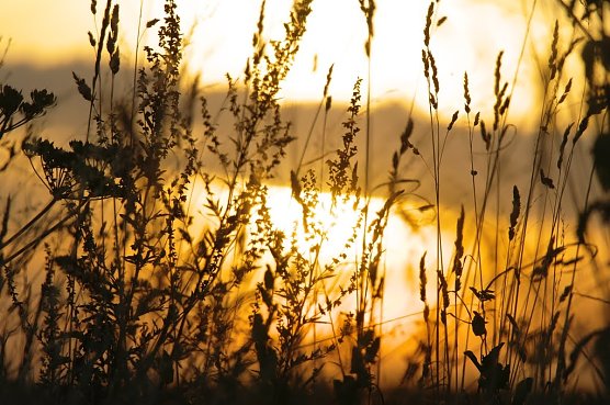 Wetterbild (Foto: Gernot Thelemann)