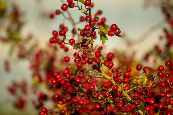 Wetter-Bild (Foto: Gernot Thelemann)