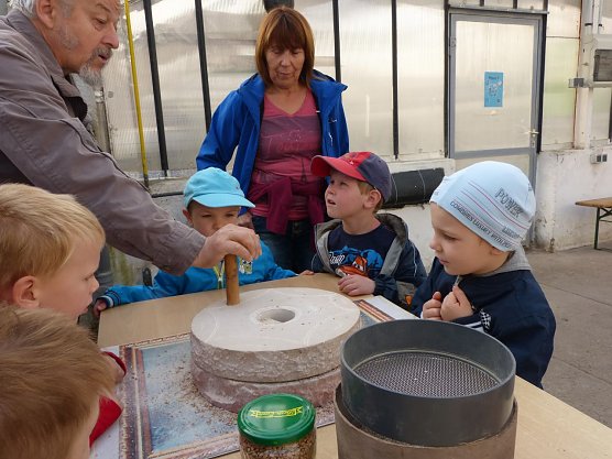 Gespannt verfolgen die Kinder wie das Korn zu Mehl gemahlen wird. (Foto: Foto: Landratsamt) Gespannt verfolgen die Kinder wie das Korn zu Mehl gemahlen wird. (Foto: Foto: Landratsamt)