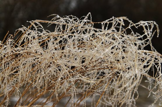 Wetter-Bild (Foto: Gernot Thelemann)