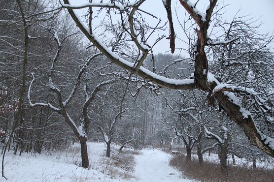 Wetterbild (Foto: Angelo Glashagel) Wetterbild (Foto: Angelo Glashagel)