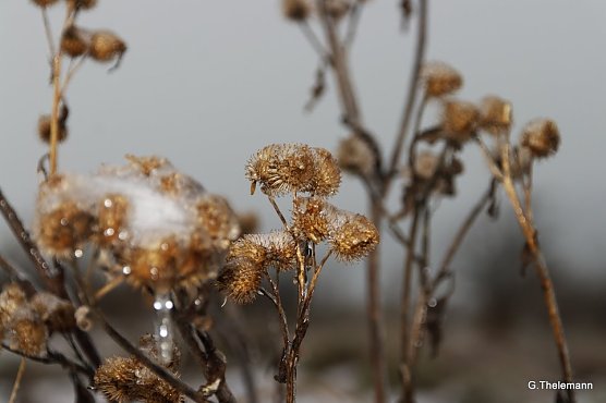 Wetter-Bild (Foto: Gernot Thelemann)