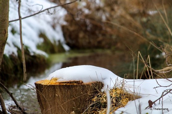 Wetterbild (Foto: Gernot Thelemann)