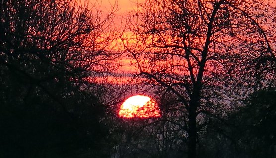 Wetter-Bild (Foto: nnz)