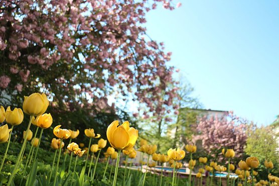 Wetterbild (Foto: Angelo Glashagel)