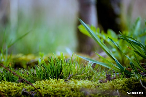 Wetter-Bild (Foto: Gernot Thelemann)