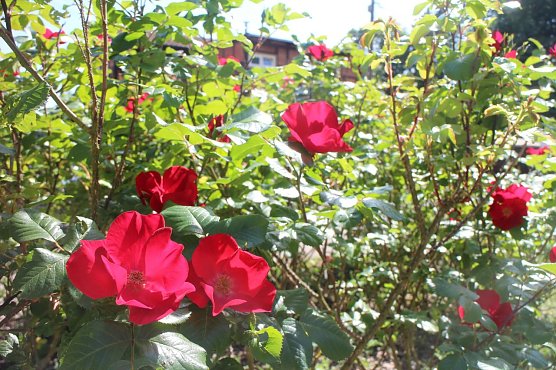Wetterbild (Foto: Angelo Glashagel)