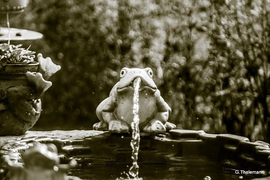 Wei&szlig; er, wie das Wetter wird? (Foto: Gernot Thelemann)