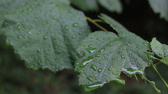 Wetterbild (Foto: Angelo Glashagel)