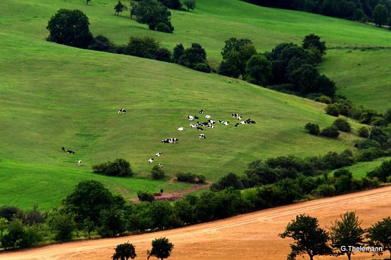 Wetter-Bild (Foto: Gernot Thelemann)