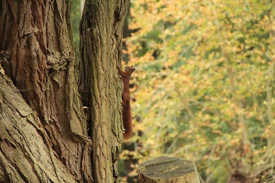 Wetterbild (Foto: Angelo Glashagel)