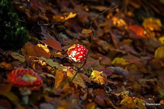 Wetter-Bild (Foto: Gernot Thelemann)