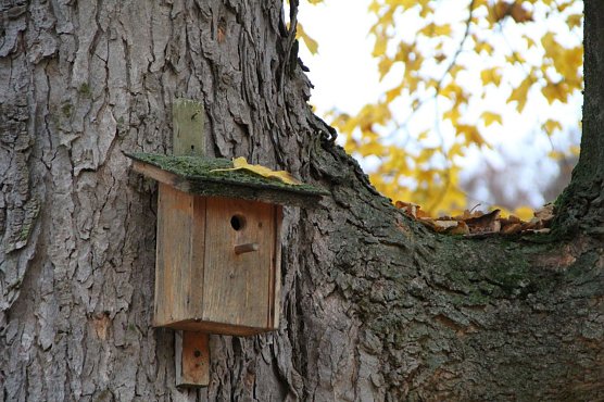 Wetterbild (Foto: Angelo Glashagel) Wetterbild (Foto: Angelo Glashagel)