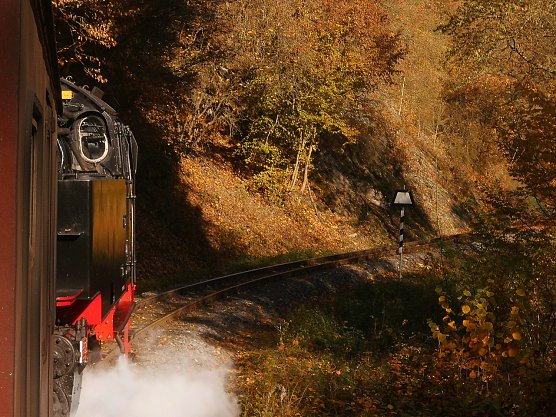 Goldener Herbst im Selketal (Foto: Bernd Thielbeer)